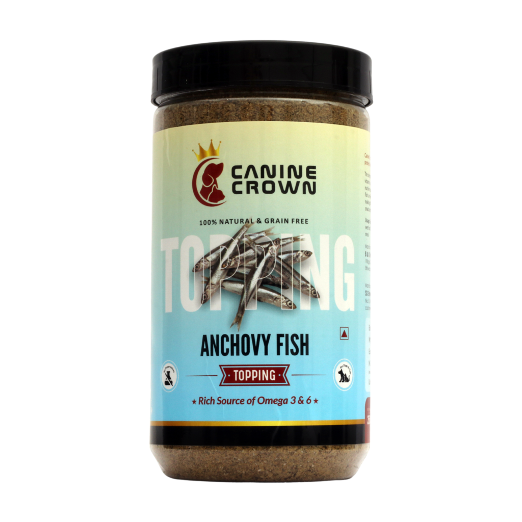 Anchovy Fish 350 1